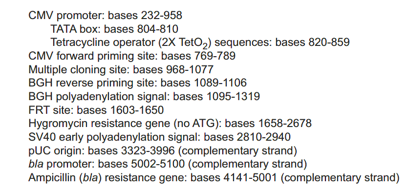 pcDNA5-FRT-TO特征位点